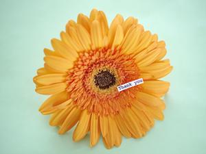 オフィスでも活躍する透明パーテーション